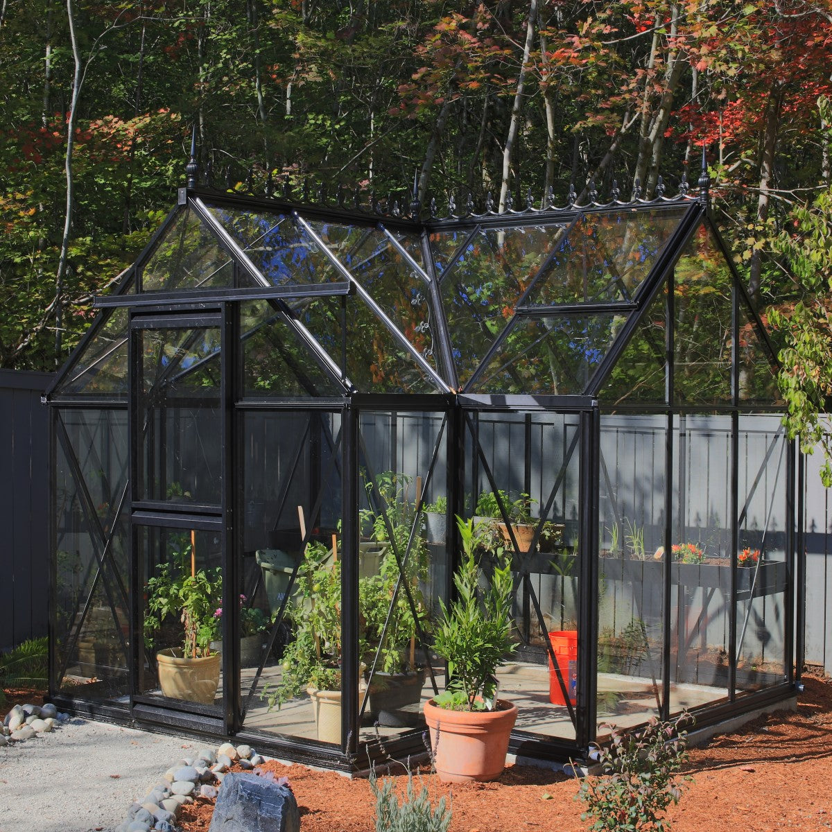 Janssens | 10x13x8 ft Junior Orangerie Glass Greenhouse Kit With 4mm Tempered Glass Glazing