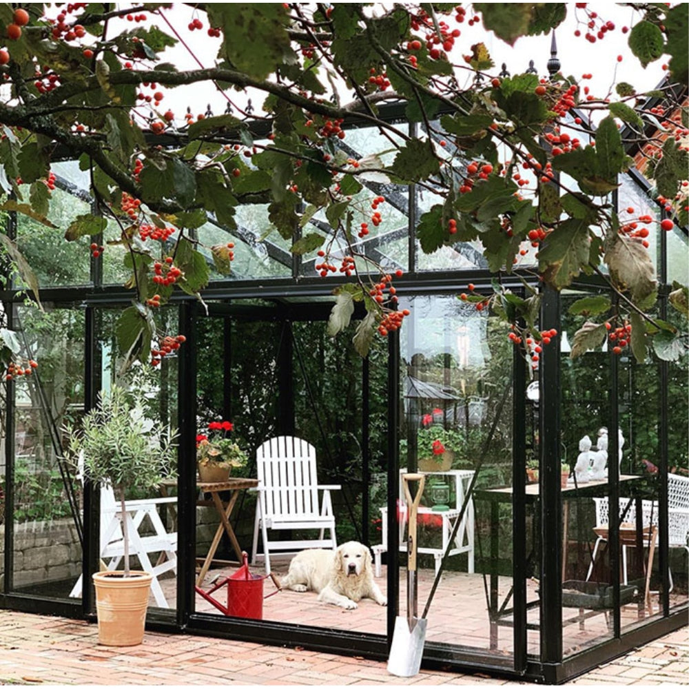 Janssens | 8x10x6.5 ft Modern M23 Pent Roof Glass Greenhouse Kit With 4mm Tempered Glass Glazing