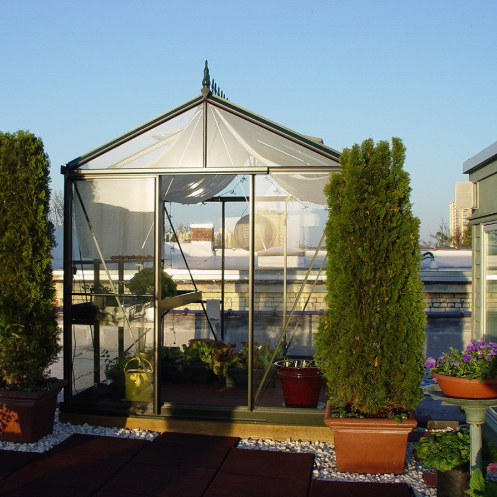 Janssens | 8x10x8.5 ft Royal Victorian VI 23 Small Greenhouse Kit