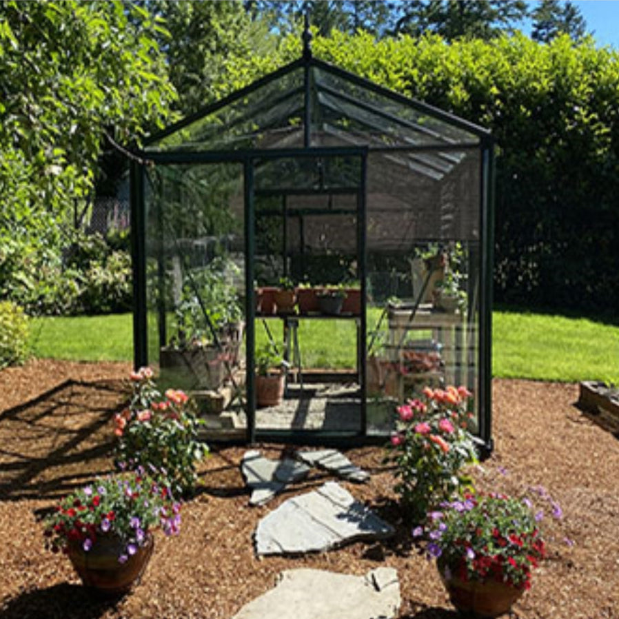 Janssens | 8x10x8.5 ft Royal Victorian VI 23 Small Greenhouse Kit