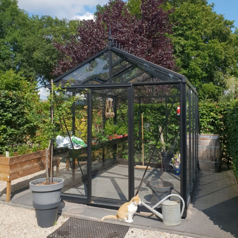 Janssens | 8x10x8.5 ft Royal Victorian VI 23 Small Greenhouse Kit